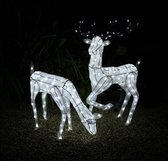 Bundel: Lichtgevend rendier en hert - verlichte kerstfiguren - 12 meter lange stroomsnoeren - gratis bevestiginskits