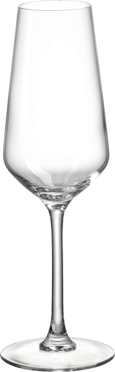 Champagneglazen-Ritzenhoff & Breker- 230 ml - 4 stuks