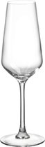 Champagneglazen-Ritzenhoff & Breker- 230 ml - 4 stuks
