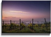 Walljar - Vineyard Sunset - Muurdecoratie - Canvas schilderij