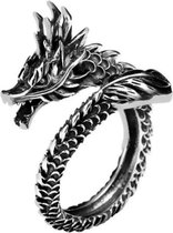 Retro Dragon Ring, Verstelbaar, Antiek,Unisex, Donkerzilver
