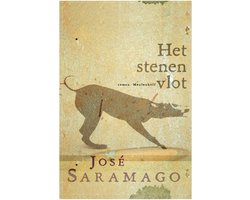 Omslag van Het stenen vlot