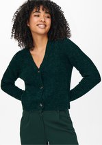 Jacqueline de Yong Vest Jdyzizak L/s Structure Cardigan Knt 15234109 Ponderosa Pine/multi Mela Dames Maat - XS