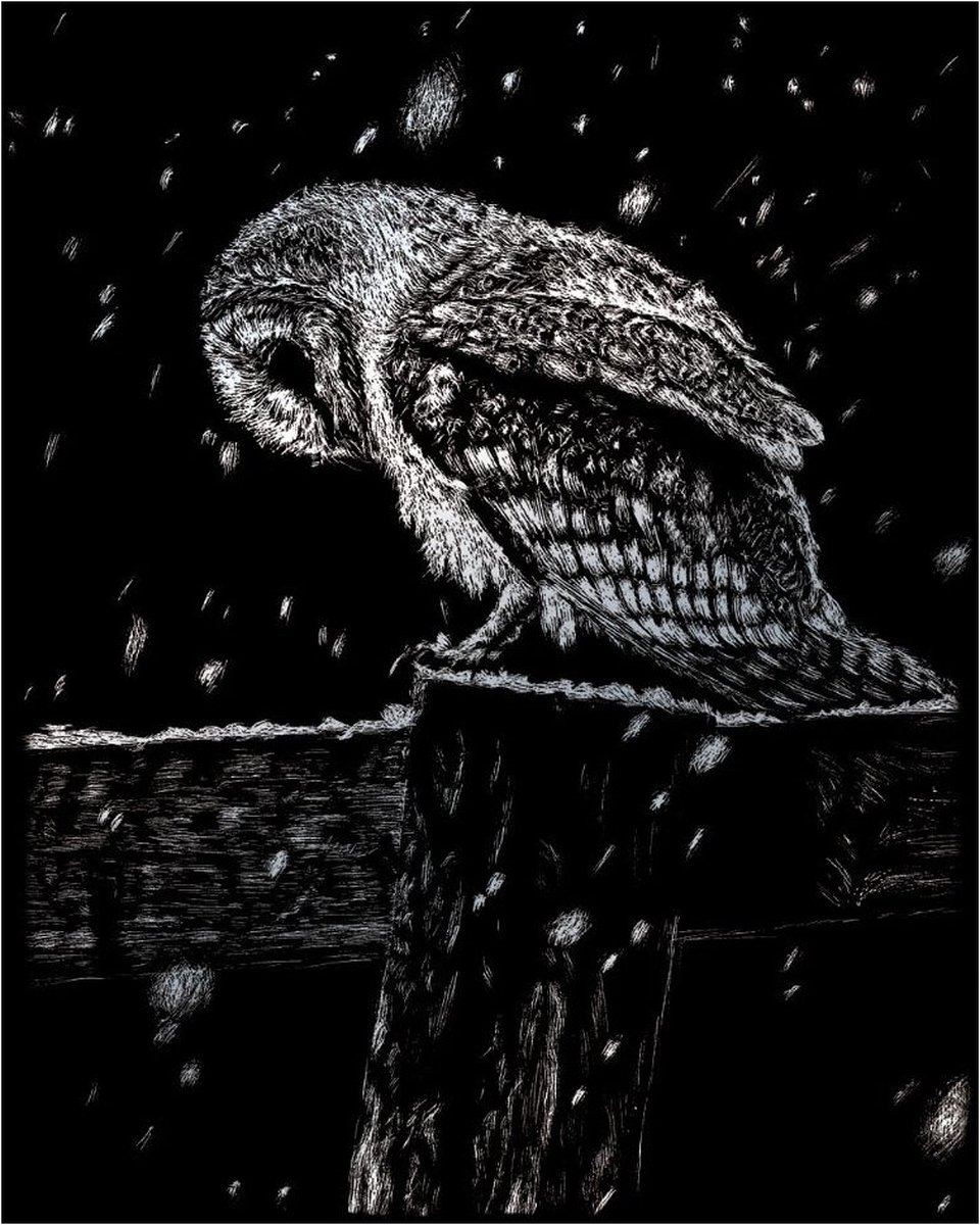 krasfolie uil in de sneeuw
