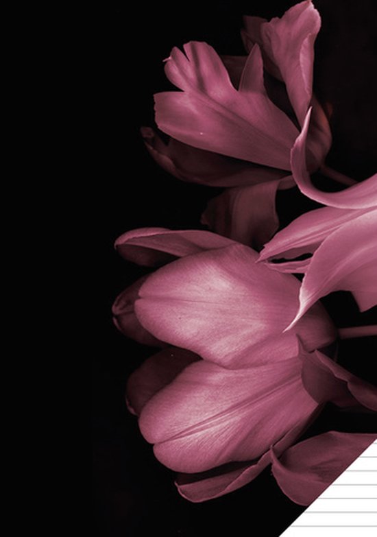 Paarse tulpen tegen een zwarte achtergrond.