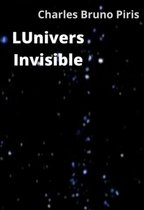 LUnivers Invisible