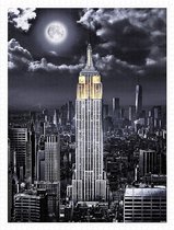 Pintoo Darren Mundy - Empire State Building- Plastic Puzzel  1200 stukken