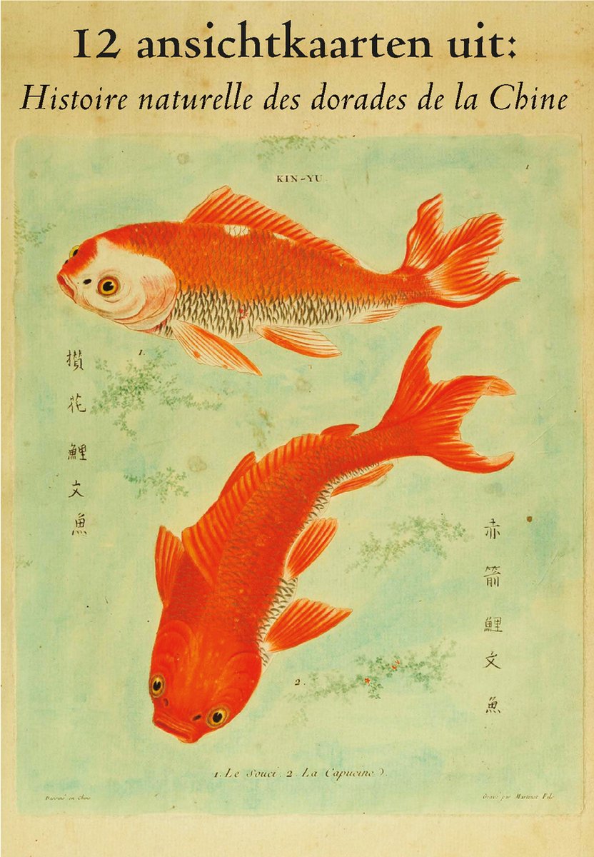 Wenskaarten set - 12 ansichtkaarten Uit: Histoire naturelle des dorades de la Chine (originele titel). Vervaardigd in 1780.