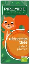 Piramide - Eekhoorntjes thee - 6 x 20 zakjes
