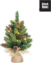 Black Box Trees - Creston kerstboom led werk op batterijen groen met burlap 15L TIPS 42 - h45xd35cm - Kerstbomen