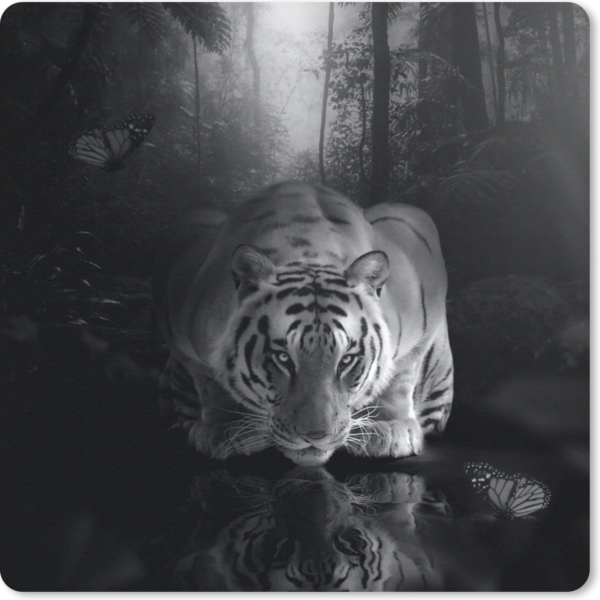 Muismat 30x30 cm - Mousepad Dieren - Vlinder - Tijger - Zwart - Wit - Muismatten