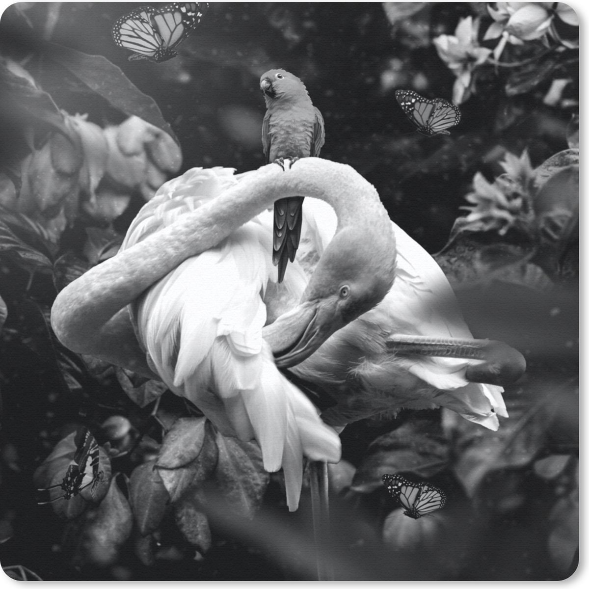 Muismat 30x30 cm - Mousepad Flamingo - Vlinders - Jungle - Zwart - Wit - Muismatten