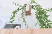 White Jungle - cintre pour plantes - cuir artificiel beige moucheté et coton - fait à la main en Belgique - durable - éco - plant - cintre pour pot de fleurs