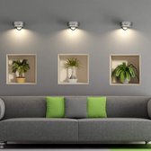 Muurstickers 3D-effect - 30x30cm  per afbeelding palmen, planten - behang decoratie optische illusie ruimte interieur stickers