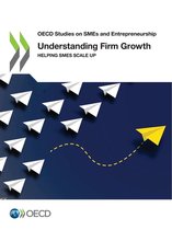Understanding firm growth