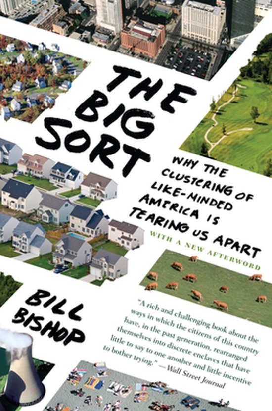 The Big Sort - cover