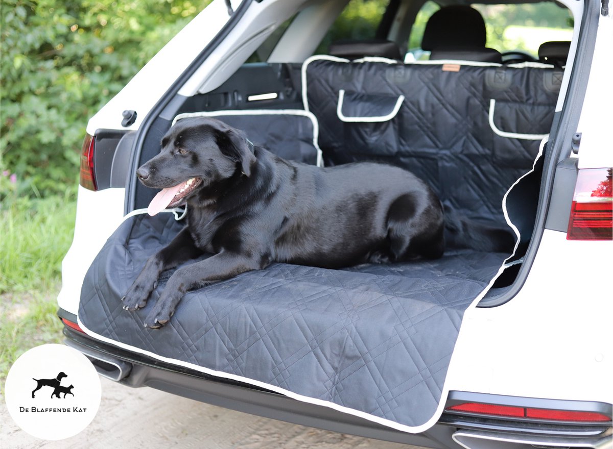 Ducomi pour chien DogDeal - Housse de siège pour voiture 