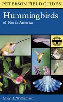 A Field Guide to Hummingbirds of North America