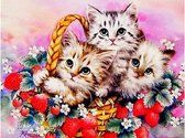 Daimond Painting Katten – 55 x 70 cm – Schilderij #6