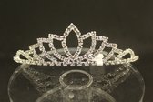 Mooie tiara, kroon, bruid, prinses, haaraccessoire, luxe diadeem, Haarpin, bloemen, haarpin, strass, koningin, maangodin, godin