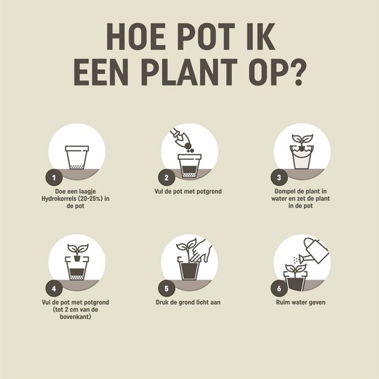 Pokon Universele Potgrond - 5l - Voor binnen en buiten - 60 dagen voeding - Potgrond universeel