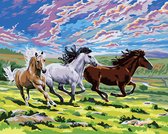 Schilderen op nummer  3 Paarden   40 x50