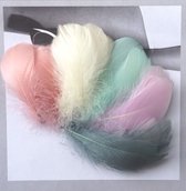 100 stuks veren pastel kleuren 8-12cm