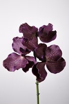 Kunstbloem - set van 2 - vanda orchidee - decoratieve tak -  31 cm - paars - topkwaliteit