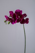 Kunstbloem - set van 2  - Phalaenopsis orchidee - decoratieve tak -  70 cm - fuchsia cerise