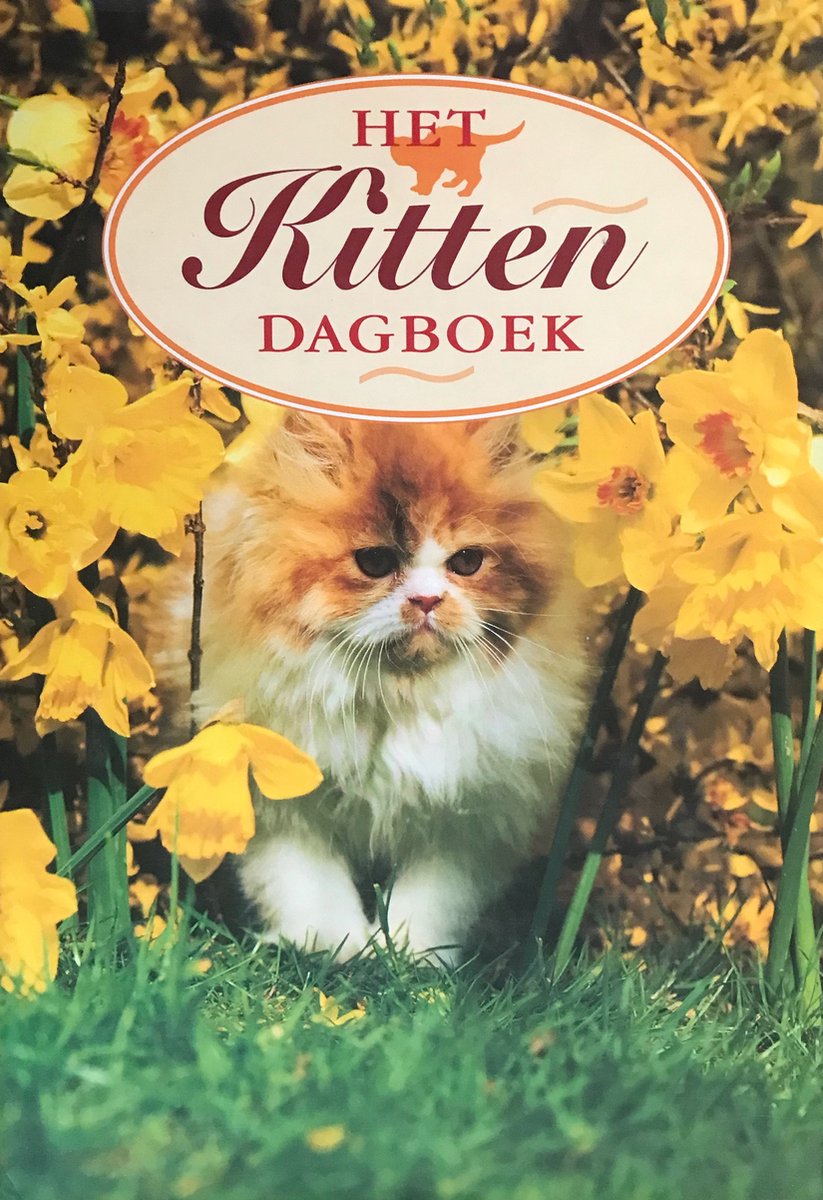 Kitten dagboek