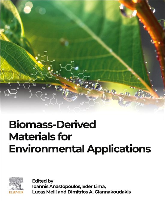 Biomass-Derived Materials for Environmental Applications - cover