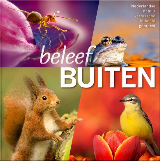 Cover van het boek 'Beleef buiten!'