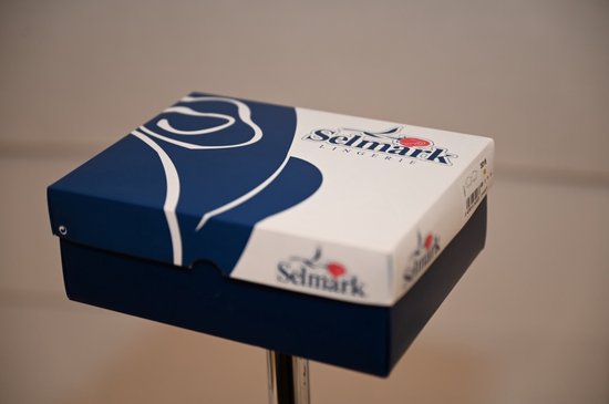 Selmark Lingerie Amanay BH - voorgevormd - A-E cup - licht blauw - maat A 70