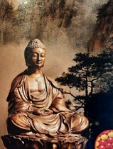 Denza - Diamond painting volwassenen zittende Budha full ronde steentjes volledige bedekking religie geloof 40 x 50 cm - waterval - bloemen - natuur - boeddha - buddha