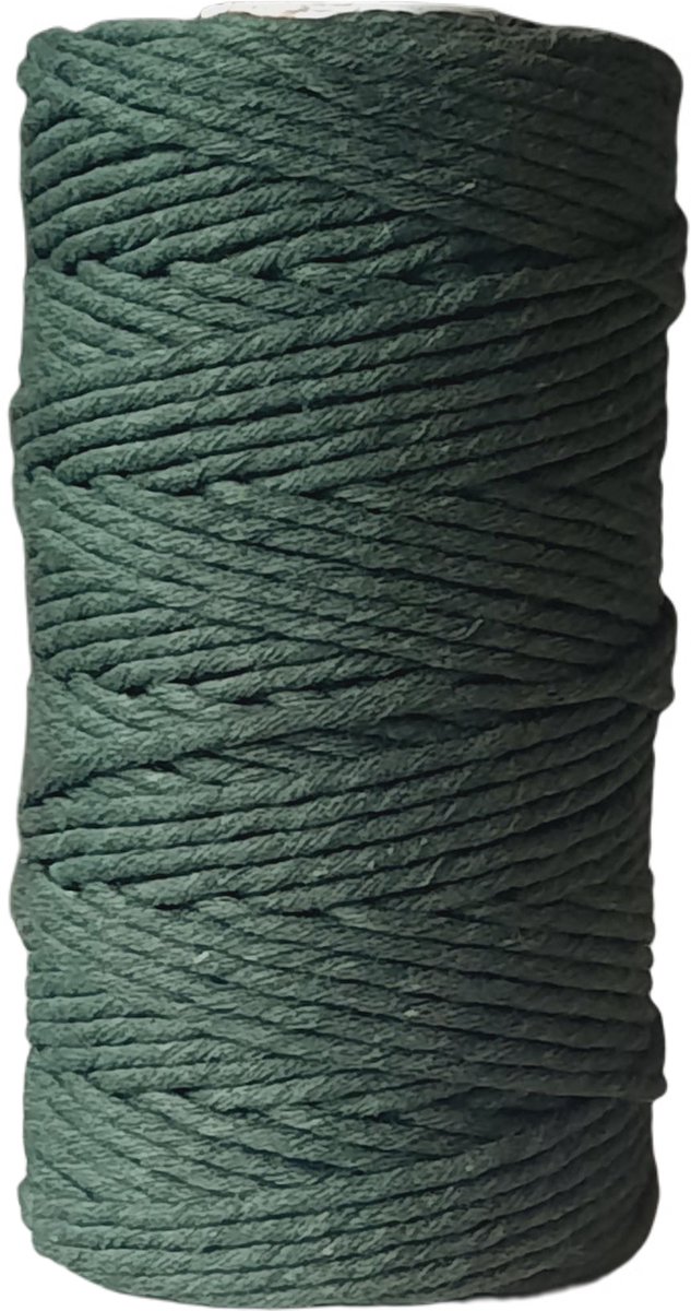 Cafuné Lux Macrame garen – 3 mm – Groen – 100 meter – Gerecycled katoen – OEKOTEX STANDARD 100 – Macrame touw – Uitkambaar koord