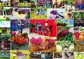 Collage - Bikes