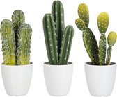 Cactus - Cactus | kunststof | wit - groen | 10x10x (h)29 cm