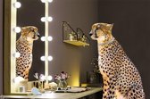 120 x 80 cm - Glasschilderij - cheetah voor een spiegel - schilderij fotokunst - foto print op glas