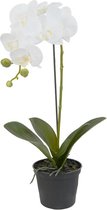 Kunstbloem orchidee in pot SIA DINA - H50 cm - Wit