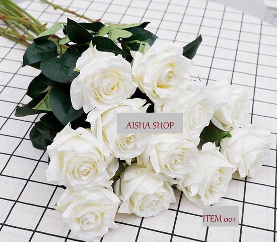 12 pcs roses simples Rose avec tige 63 cm coloris blanc modèle 'Aisha' |  VELOURS |... | bol.com