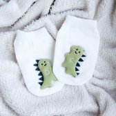 baby sokjes - baby - sokjes dino- voetjes van 11-14 cm