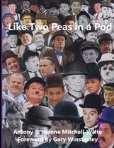 Like Two Peas in a Pod: A Visual Guide to Laurel & Hardy Look-Alikes and Tribute Acts on the Screen