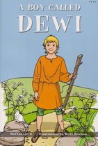 Boy Called Dewi, A