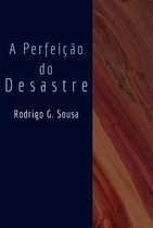 A Perfeição Do Desastre