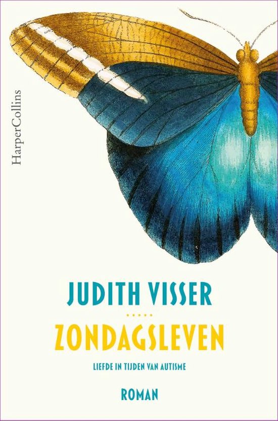 Boek: Zondagsleven, geschreven door Judith Visser