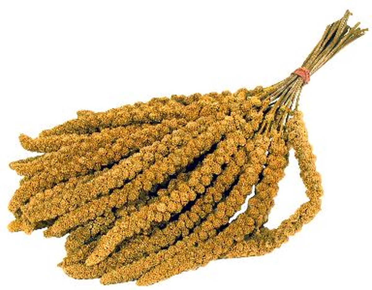 - DE VRIES TROSGIERST 3KG