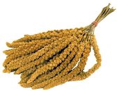 - DE VRIES TROSGIERST 3KG