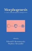 Morphogenesis: An Analysis of the Development of Biological Form