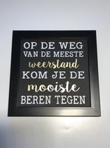 Tekstbord / Wandbord / Weerstand / Verjaardag / Cadeau / Woondecoratie / Zwart / Fotolijst