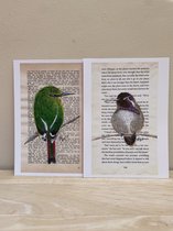 B-creativ - set van 10 postkaarten - vogels: kolibrie, vuurstaartje - excl envelop
